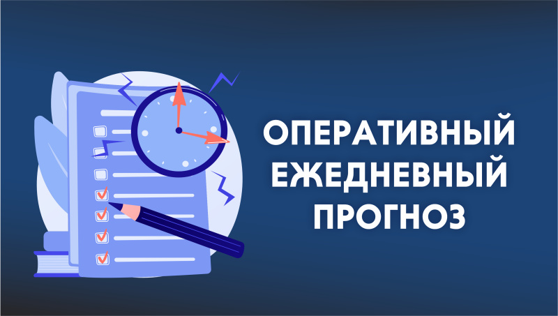 ОПЕРАТИВНЫЙ ЕЖЕДНЕВНЫЙ ПРОГНОЗ  возникновения и развития чрезвычайных ситуаций  на территории Мурманской области на 12 декабря 2024 г.